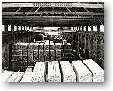 Interior of lumber shed